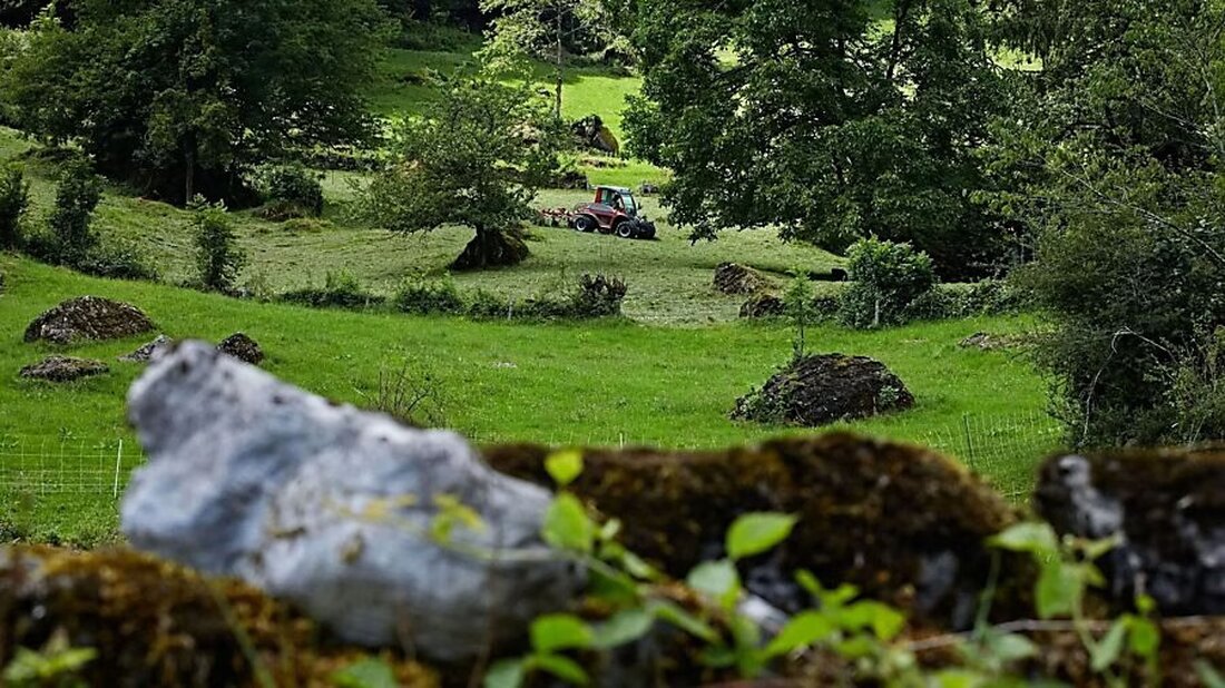 Der Regierungsrat beantragt einen Verpflichtungskredit von 11,8 Millionen Franken für landwirtschaftliche Direktzahlungen bis 2029 zur Förderung von Biodiversität und Landschaftsqualität.