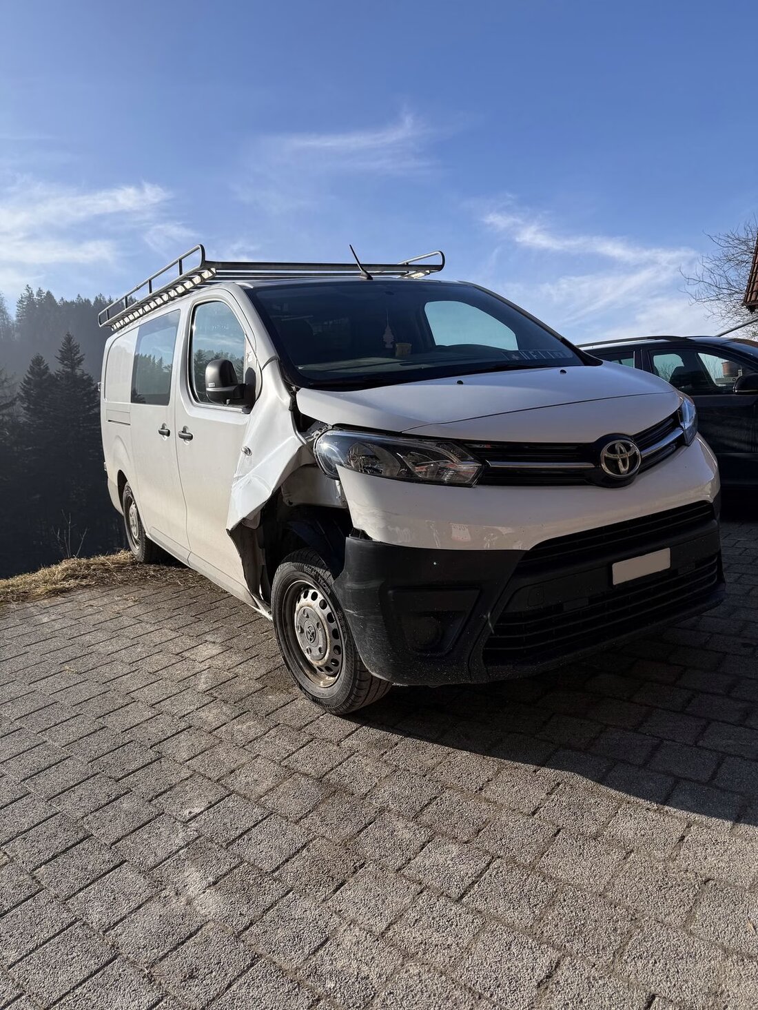 Am 23. Januar 2026 ereignete sich in Trogen ein Selbstunfall mit Lieferwagen. Der Fahrer hinterließ einen Sachschaden und wird angezeigt.