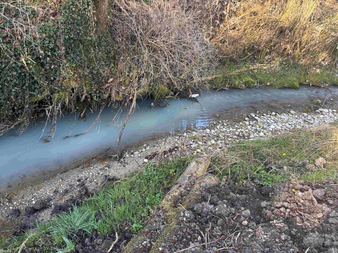 Am 04.04.2025 gelangten über 100 Liter Milch durch einen technischen Fehler in den Mühlrütibach. Die Feuerwehr reagierte schnell.