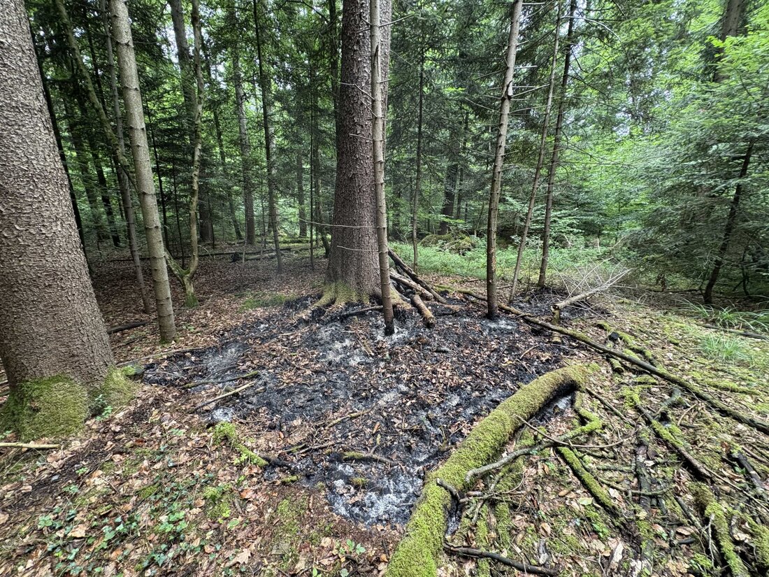Im Leimatwald in Hefenhofen kam es zu einem Mottbrand. Polizei ermittelte zwei Tatverdächtige. Waldbrandgefahr ist hoch.