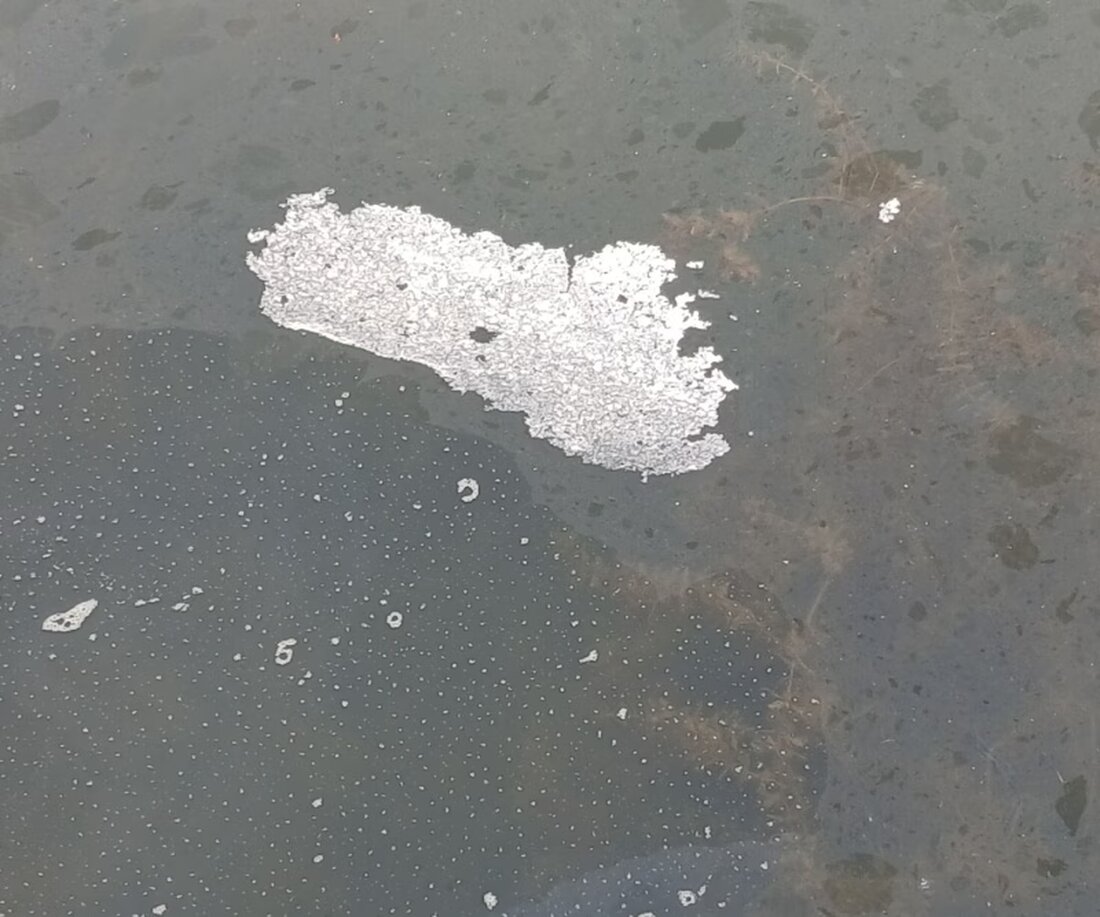 Einsatzkräfte untersuchen eine unbekannte Verschmutzung im Hafen von Gletterens. Sicherheitsmaßnahmen sind ergriffen, Hafen geschlossen.