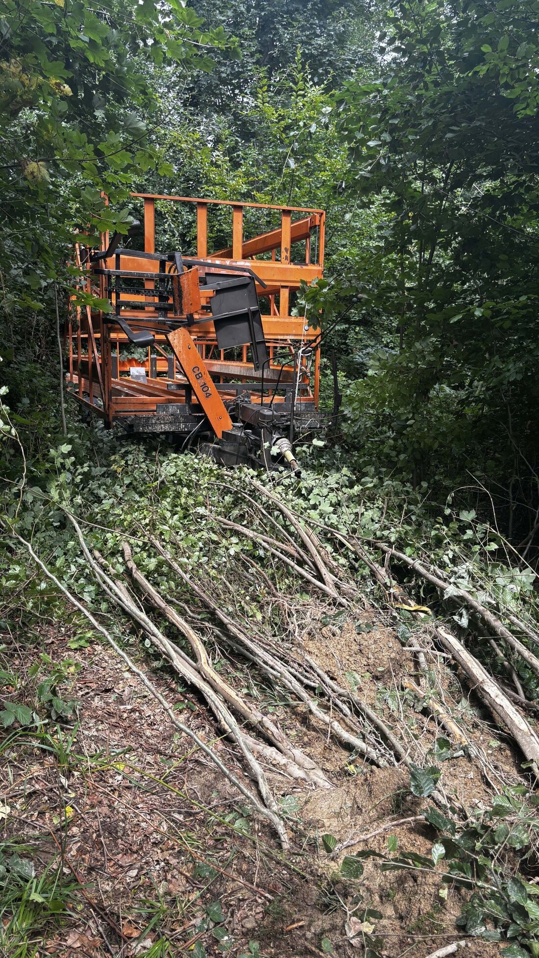 Im Wald bei Mülligen wurde ein unbekannter Ballensammler gefunden. Die Kantonspolizei bittet um sachdienliche Hinweise.
