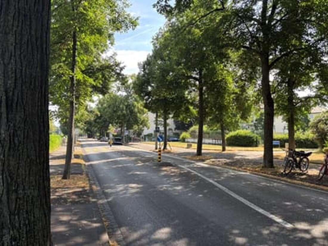 Ab September 2025 wird die Neubadstrasse für Bauarbeiten zur neuen Abwasserleitung gesperrt, um die Gleise für höhere Güterzüge abzusenken.