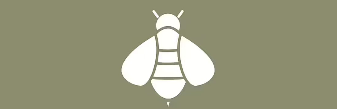 Sabina Patt wird ab 1. Dezember 2024 neue Bienenkommissärin der Kantone Glarus und Graubünden. Sie folgt Heinrich Heusser nach 13 Jahren.