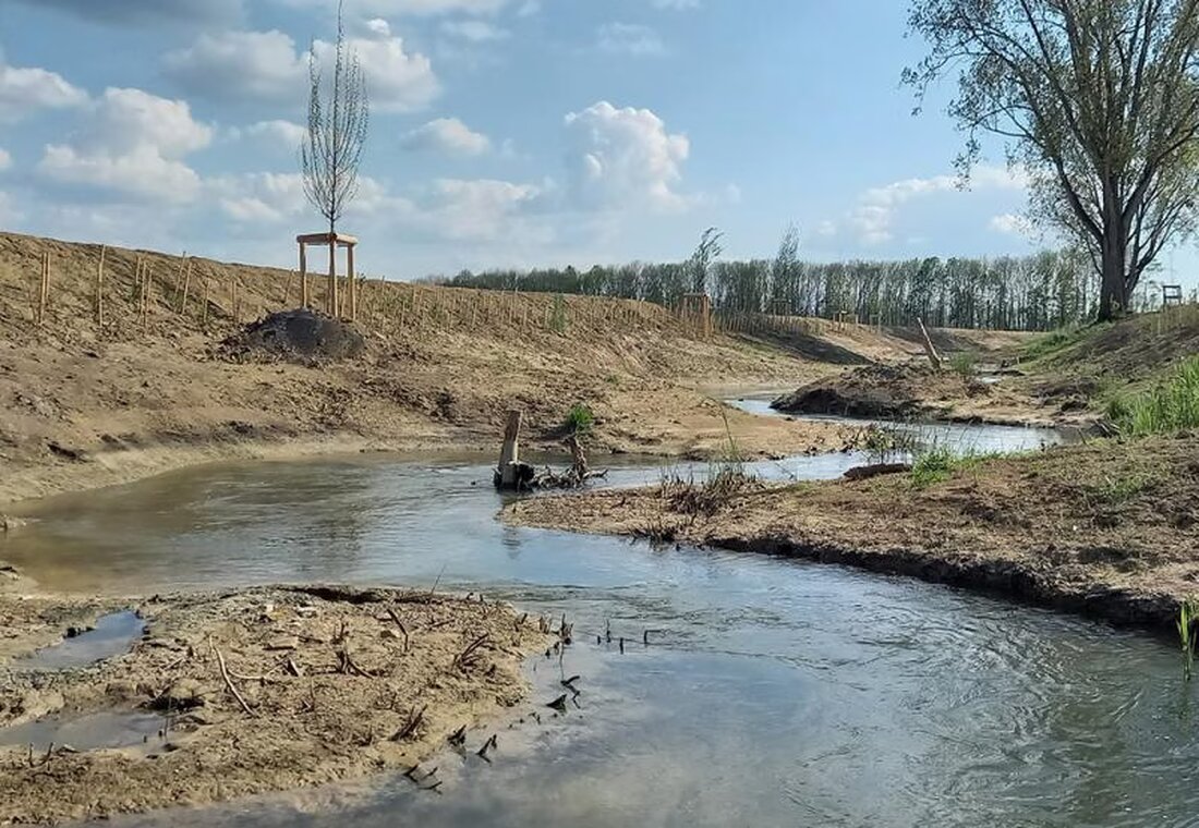 Die Vernehmlassung zur Teilrevision des Gewässergesetzes wurde eröffnet, um Hochwasserschutz und Gewässerrevitalisierung zu stärken.