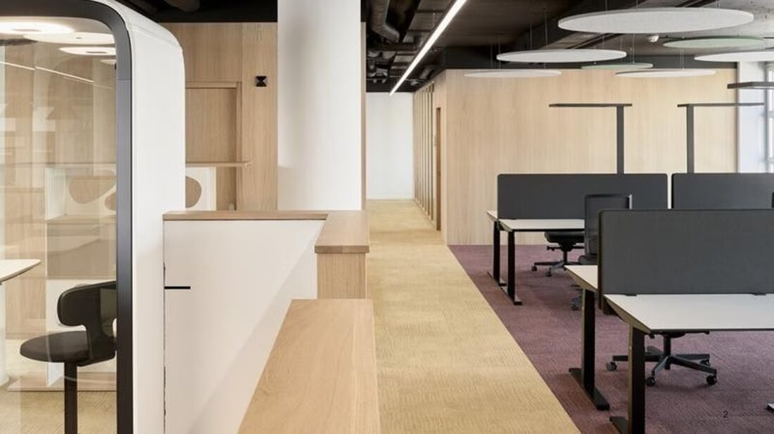 Der Standard FriBURO revolutioniert Arbeitsumgebungen im Staats Freiburg durch flexible Konzepte und modulare Raumgestaltung.