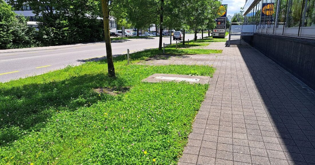 Neubau eines Trottoirs und Fussgängerübergangs an der Hinterbergstrasse in Cham ab 5. Mai 2025 zur Erhöhung der Verkehrssicherheit.