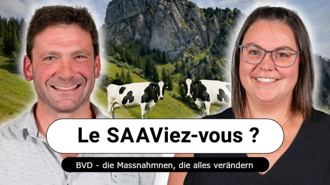 Tierärztin Florence Pipoz und Landwirt Jean-Philippe Jaquet erörtern im Podcast wichtige BVD-Maßnahmen und persönliche Erfahrungen.