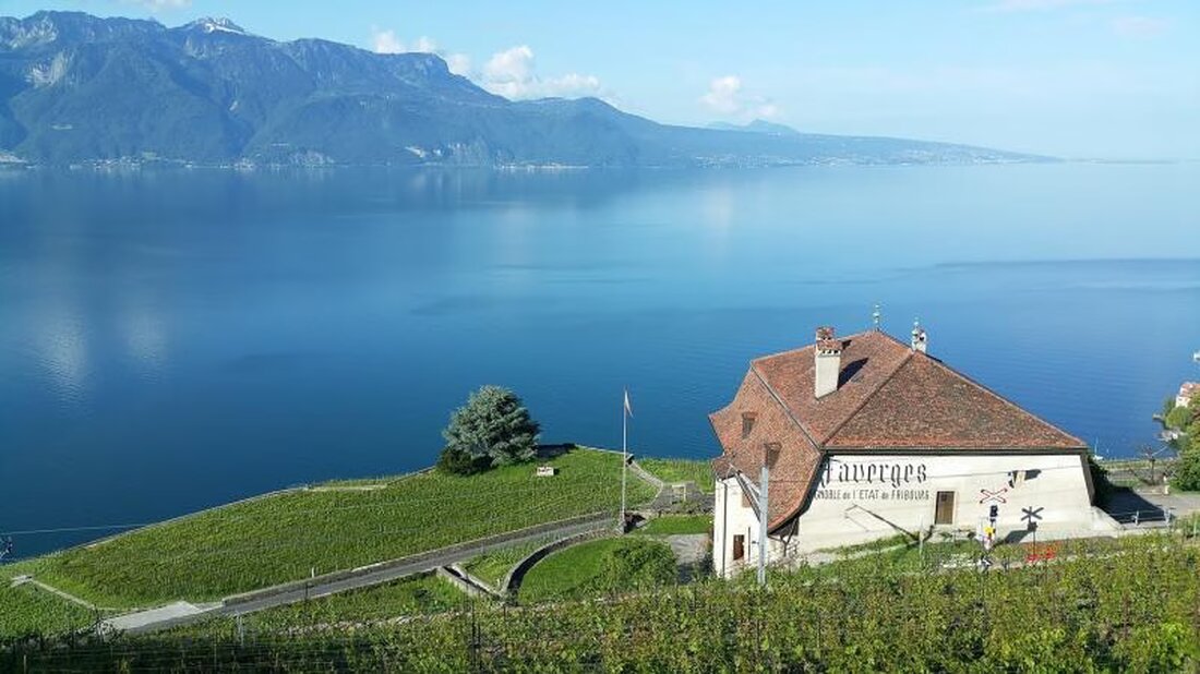 Ab diesem Herbst übernehmen Max Oestreicher und Aliénor Bonvin die Verwaltung der Domaine des Faverges, um die Qualität im Weinbau und im Önotourismus zu steigern.