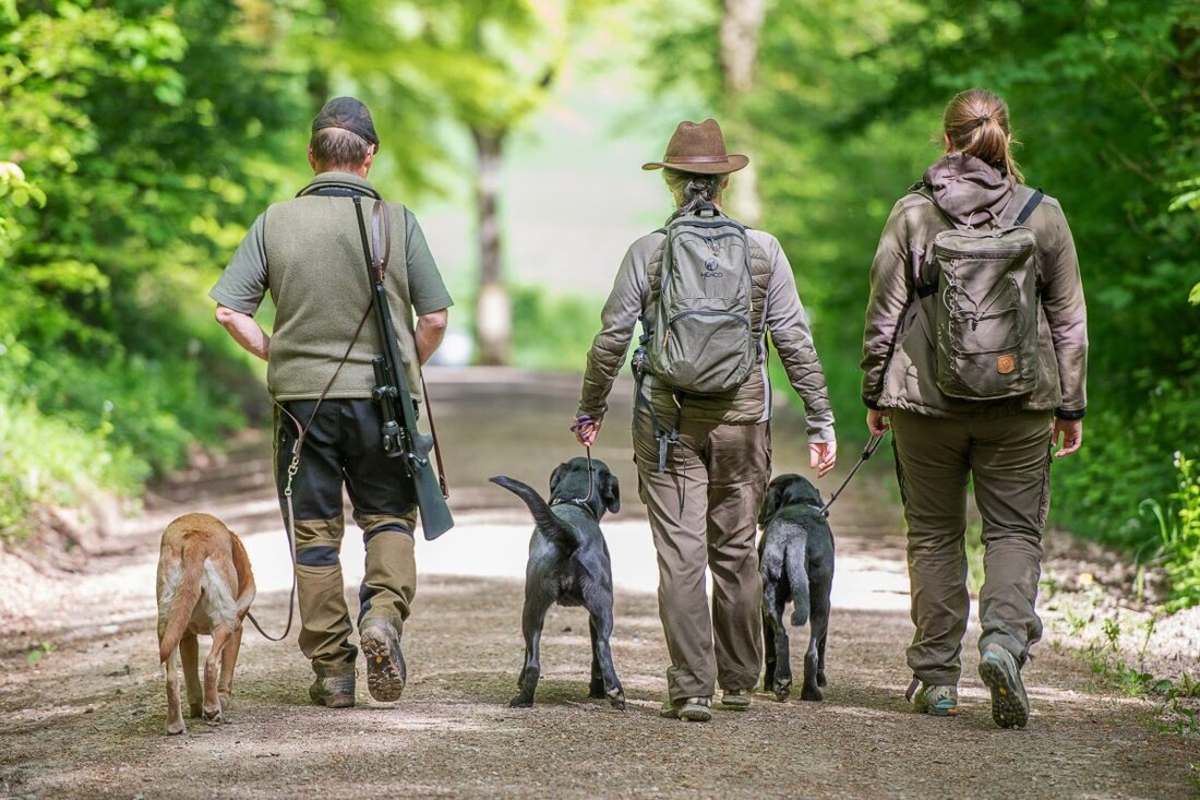 Der Regierungsrat Aargau hat eine revidierte Jagdverordnung verabschiedet, die nach Genehmigung durch den Bund in Kraft tritt.