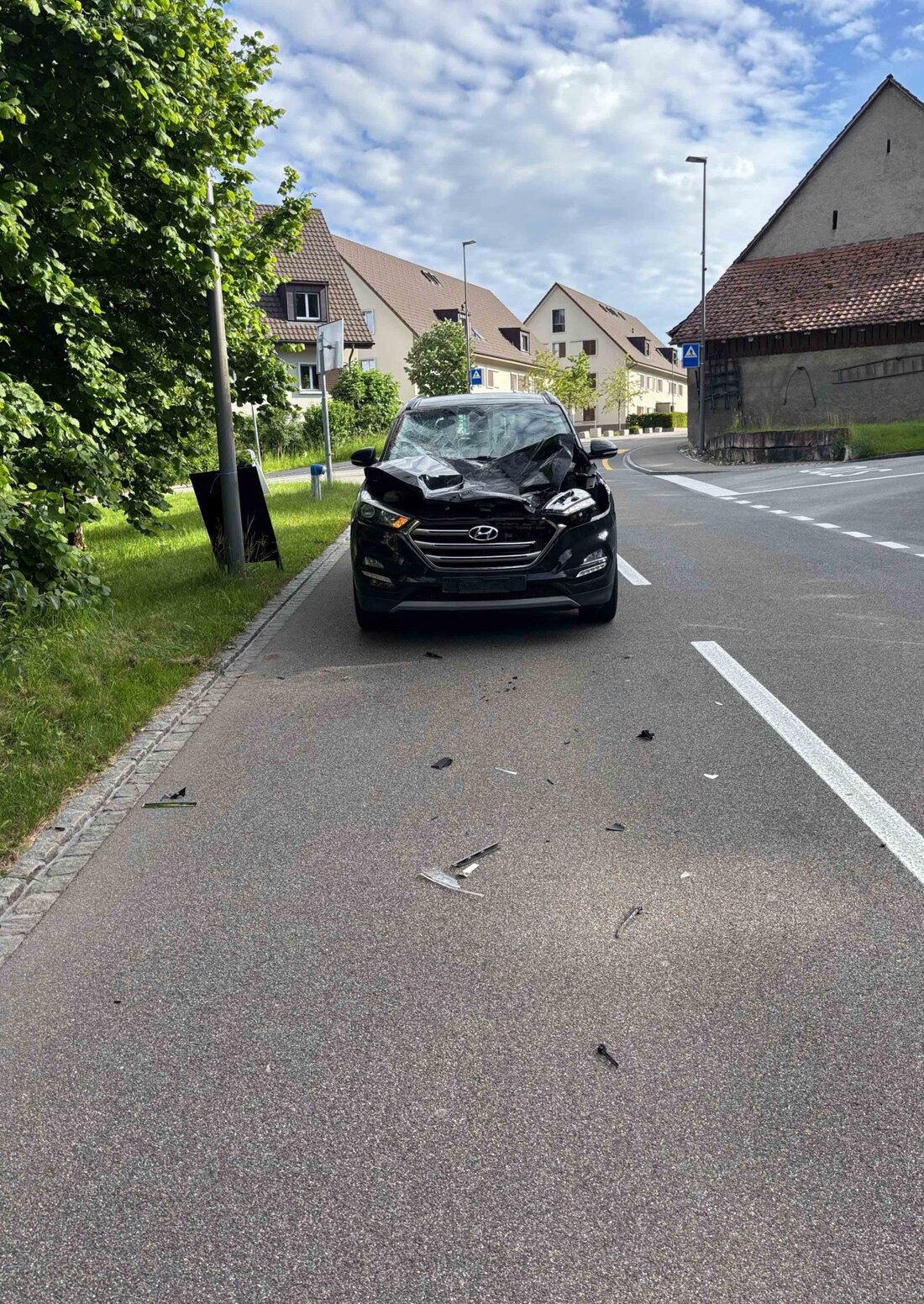Ein Pferd galoppierte in Brunegg auf die Hauptstrasse und kollidierte mit einem Personenwagen. Insassen blieben unverletzt, das Pferd verletzt.