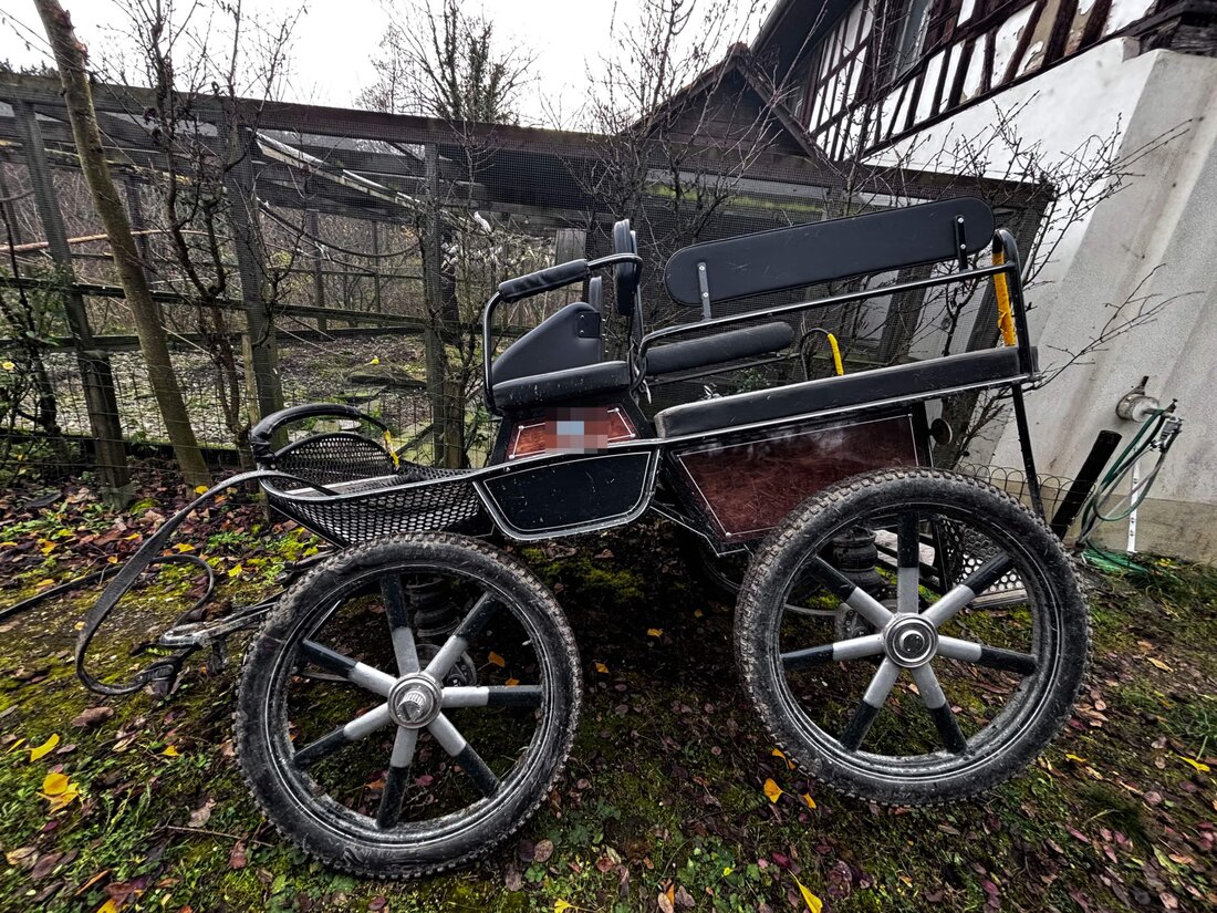 In Amlikon-Bissegg wurde ein 72-jähriger Fussgänger bei einem Unfall mit einer Pferdekutsche verletzt. Der Kutscher stürzte ebenfalls.