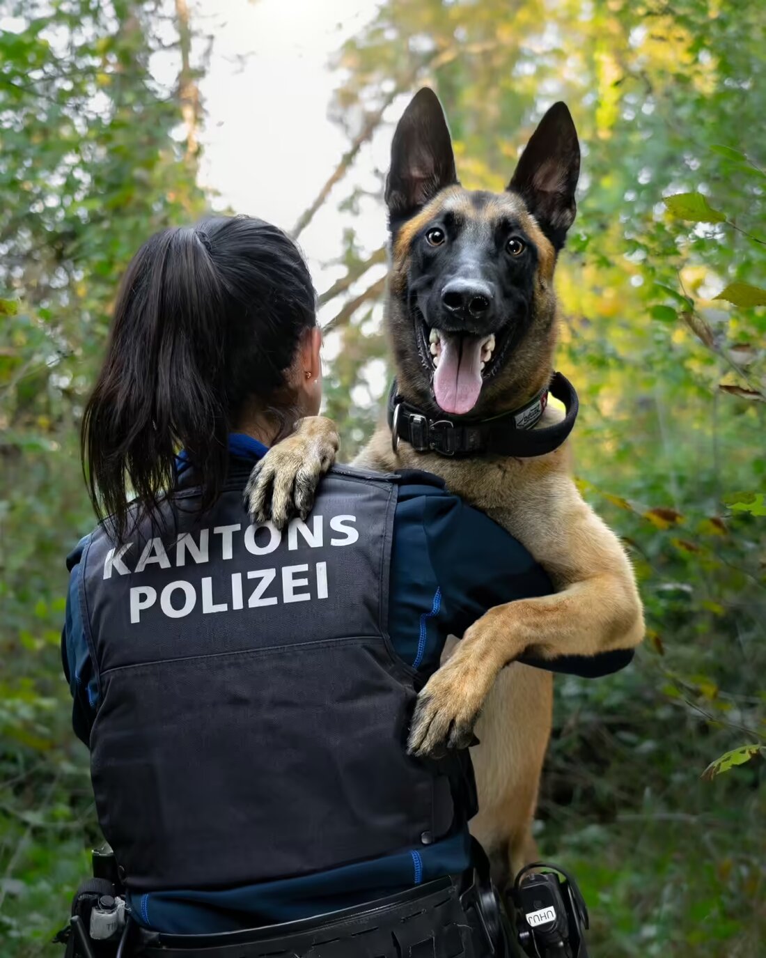 Jugendliche aus Aarau nach Einbruch in Kiosk mit Polizeihund Malouk verhaftet. Ermittlungen zu möglichem dritten Täter laufen.