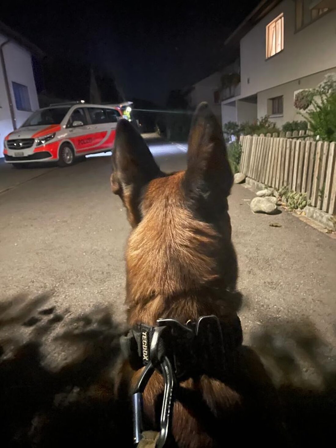 In Turgi spürte ein Diensthund zwei mutmaßliche Autodiebe auf, die nachts parkende Fahrzeuge durchsucht hatten.