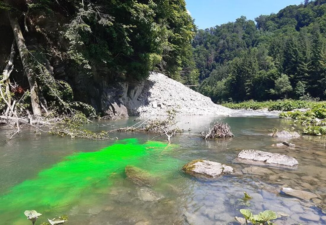 Die neongrüne Färbung des Wassers der Veveyse in Châtel-St-Denis stammt von Fluorescein, einer sicheren Methode zur Abflussmessung.