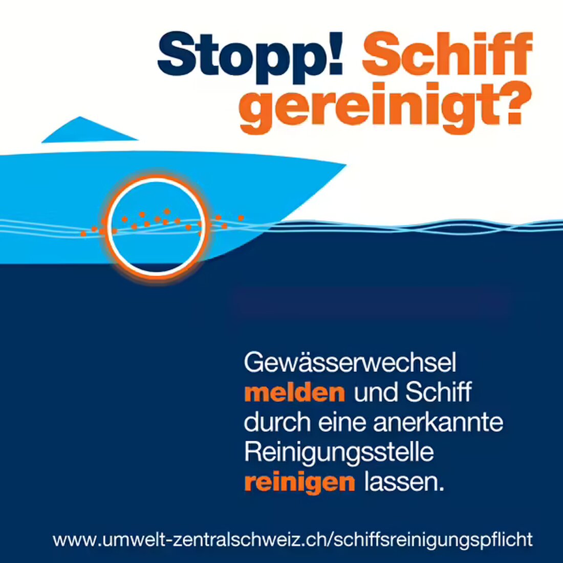 Zentralschweizer Seen untersucht: Keine neuen Quagga-Muscheln festgestellt, Schutzmaßnahmen für betroffene Gewässer eingeleitet.