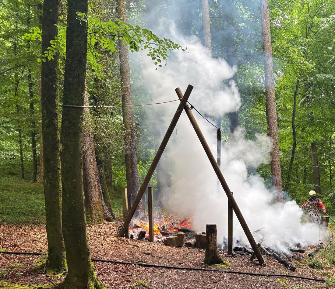 In Diessenhofen brach am Dienstagmorgen ein Brand am Waldsofa Ratzenhüsli aus. Die Feuerwehr löschte schnell, niemand wurde verletzt.