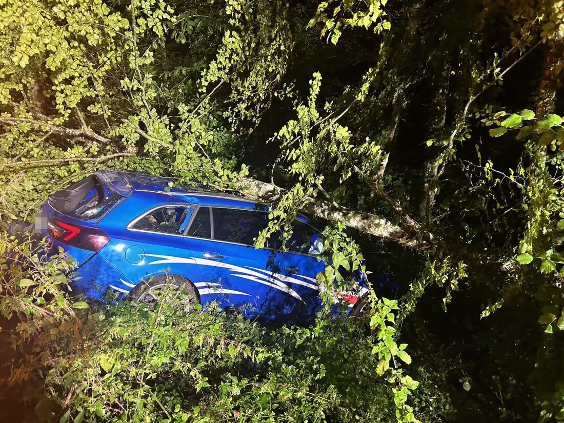 Ein Autofahrer verlor die Kontrolle und landete nach einem Überholmanöver im Wald bei Möhlin. Er wurde ins Spital gebracht.