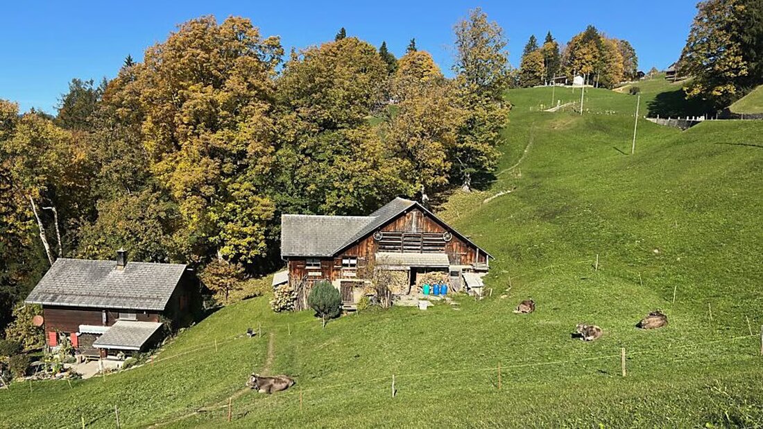 Der Regierungsrat des Kantons Glarus präsentiert das revidierte Landwirtschaftsgesetz, um den Rückgang der Betriebe zu bremsen.