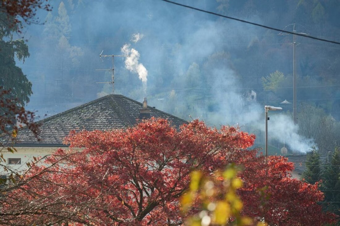 Erlernen Sie effektive Methoden zum richtigen Heizen mit Holz. Tipps für saubere, effiziente Feuerung und Öfen im Fürstentum Liechtenstein.