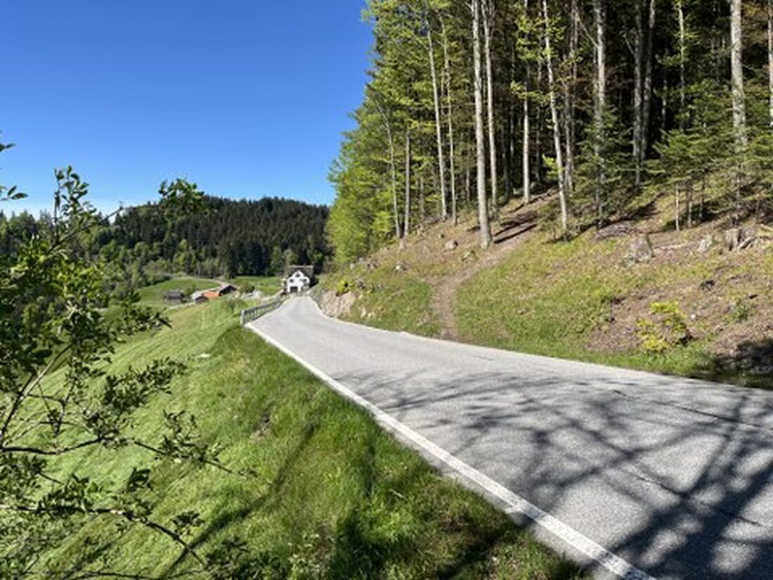 Ab 21. Mai 2024 wird die Haggenstrasse in Oberegg saniert. Verkehrsregelung durch Lichtsignalanlage; vollständige Sperrung nur für drei Tage.