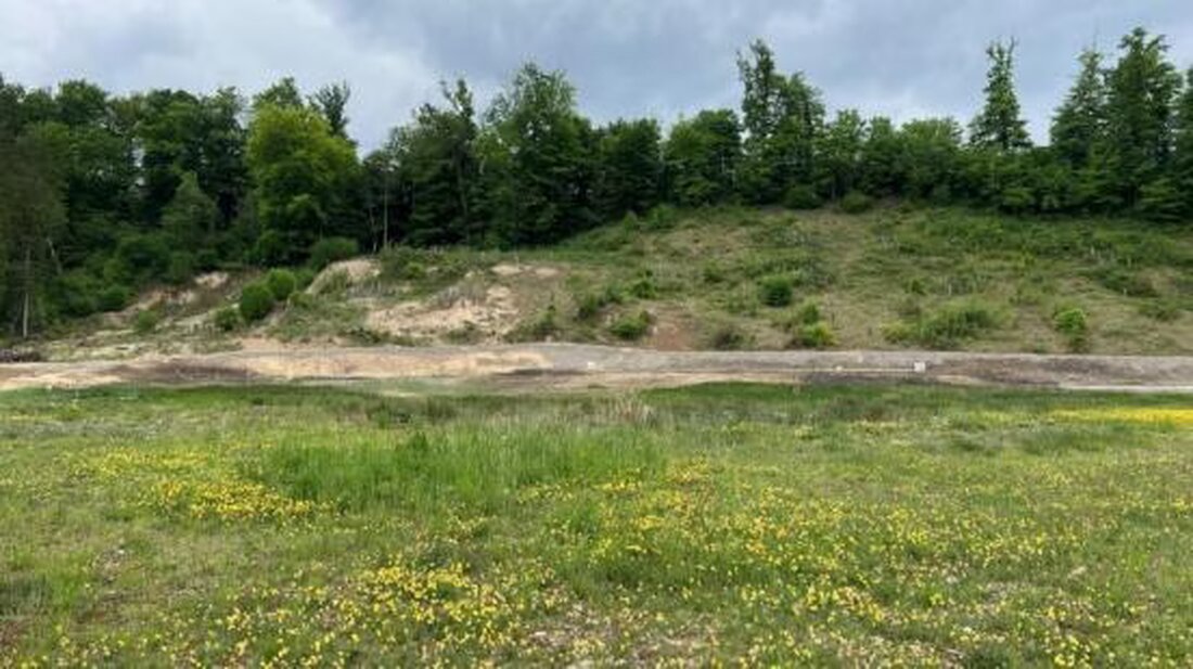 Die Altlastensanierung der ehemaligen Jagdschiessanlage in Embrach wurde erfolgreich abgeschlossen, 320 Tonnen Schadstoffe entfernt. Die Fläche wird der Natur zurückgegeben und bietet neuen Lebensraum für gefährdete Arten.