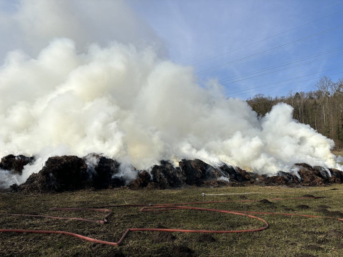 In Etzwilen brach am Freitagnachmittag ein Schilfbrand aus. Die Feuerwehr konnte schnell löschen; es gab keine Verletzten.