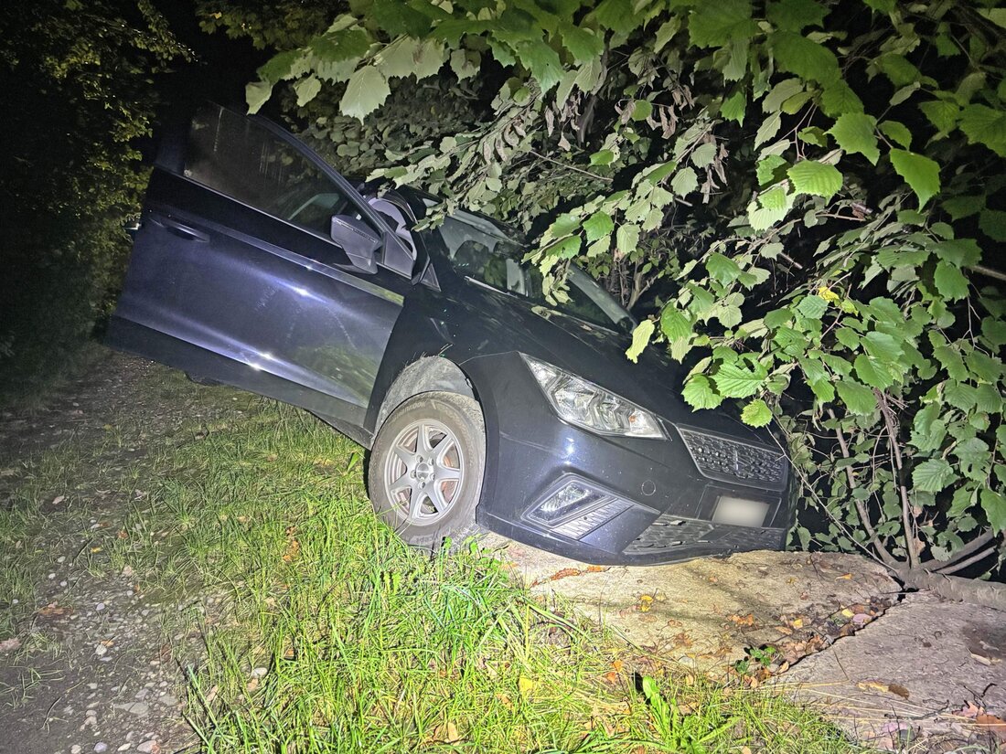 Ein fahrunfähiger 31-jähriger Mann verunfallte in Steinebrunn, wurde schlafend im Auto gefunden und verlor seinen Führerausweis.
