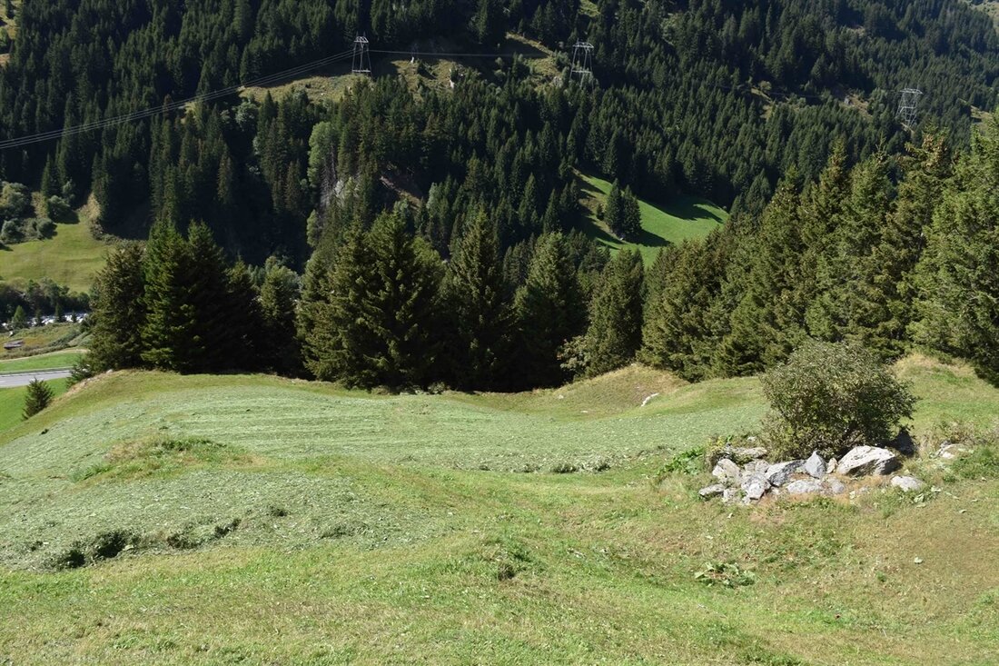 Am Lukmanierpass in Medel (Lucmagn) kam es zu einem Unfall mit einem landwirtschaftlichen Gefährt. Ein Mann wurde verletzt.