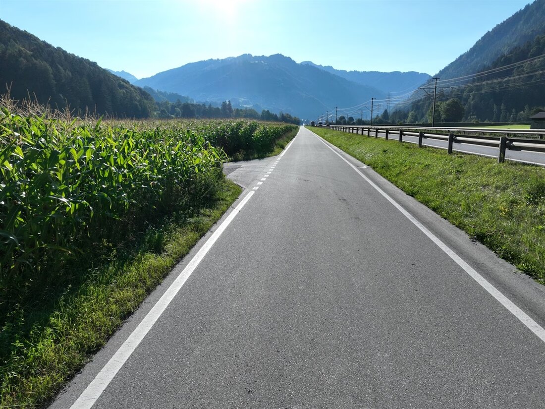 In Schiers kam es zu einem schweren Unfall zwischen einem Fahrradfahrer und einem Auto. Der Radfahrer wurde dabei schwer verletzt und ins Kantonsspital Graubünden geflogen. Die Unfallursache wird von der Polizei untersucht.