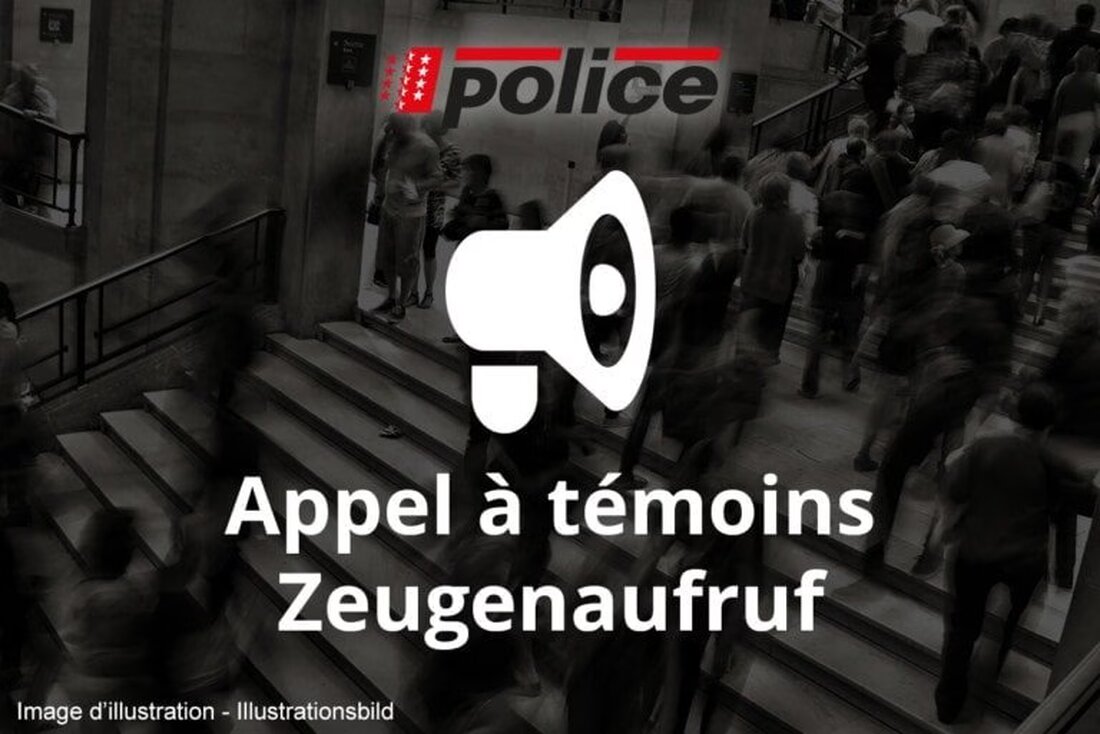 Bei einem tragischen Verkehrsunfall in Monthey am 7. April 2025 kam eine Frau ums Leben. Die Polizei sucht Zeugen.