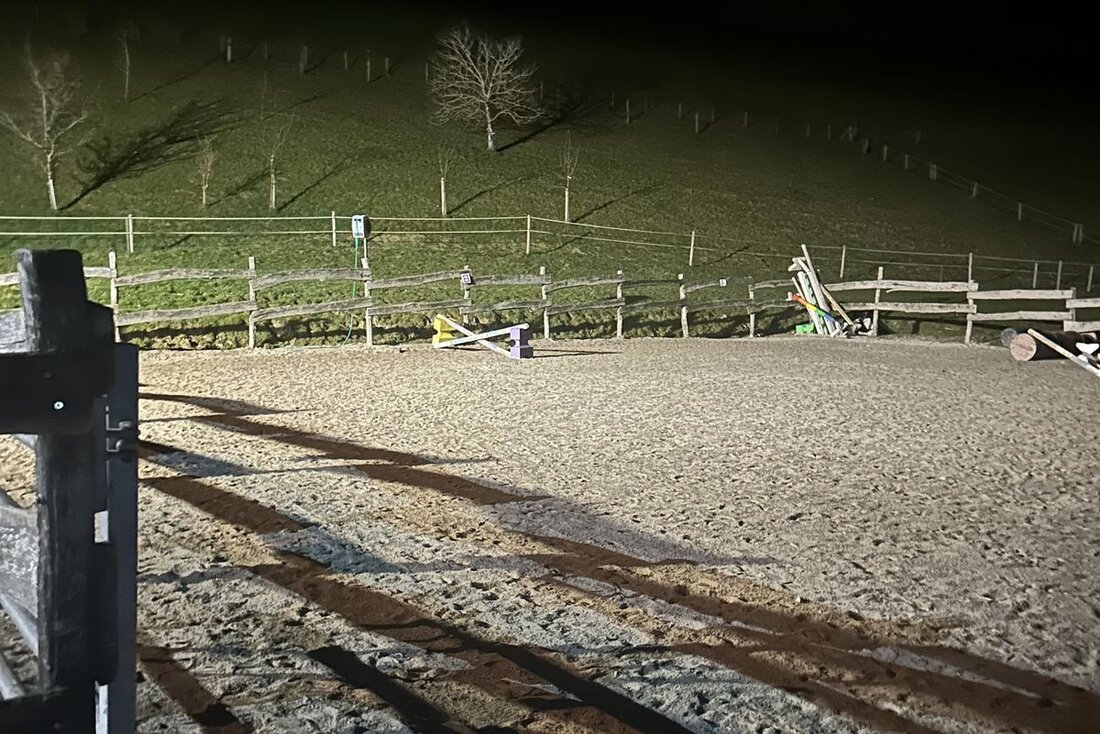 Am 25. März 2025 stürzte eine 19-jährige Reiterin in Heiden während des Trainings schwer und wurde ins Spital geflogen.