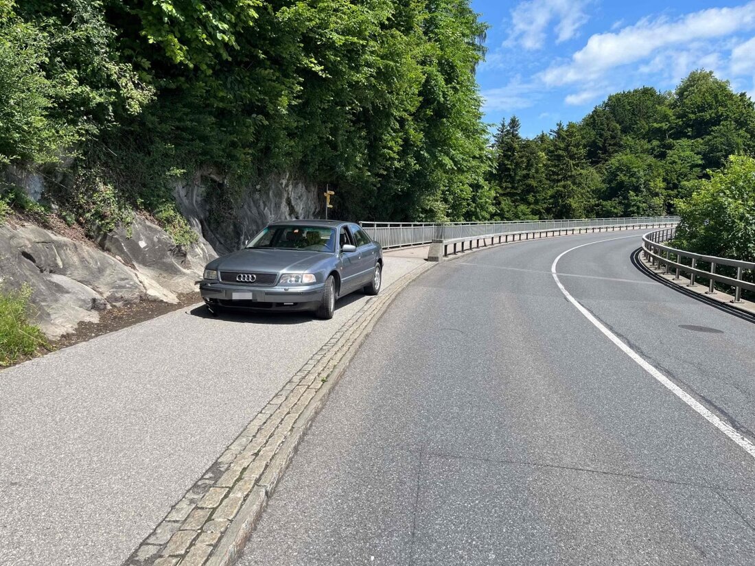 Am Dienstag, 27. Mai 2025, kam es an der Rickenstrasse zu einem Selbstunfall. Die Kantonspolizei St.Gallen sucht Zeugen.
