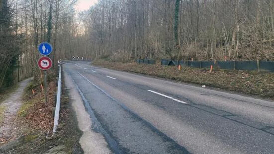 In Oetwil am See wird die Chrüzlenstrasse saniert, um Sicherheit zu erhöhen und Amphibienschutzsysteme zu installieren. Baustart: Mai 2025.