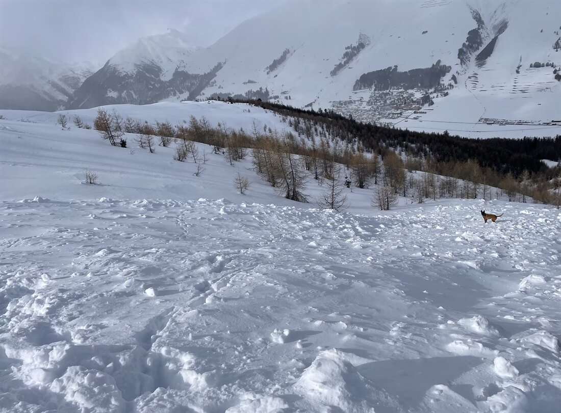 Ein Skitourenfahrer entdeckte in Zuoz einen Ski auf einem Lawinenfeld. Dies führte zu einer großen Suchaktion der Rettungskräfte.