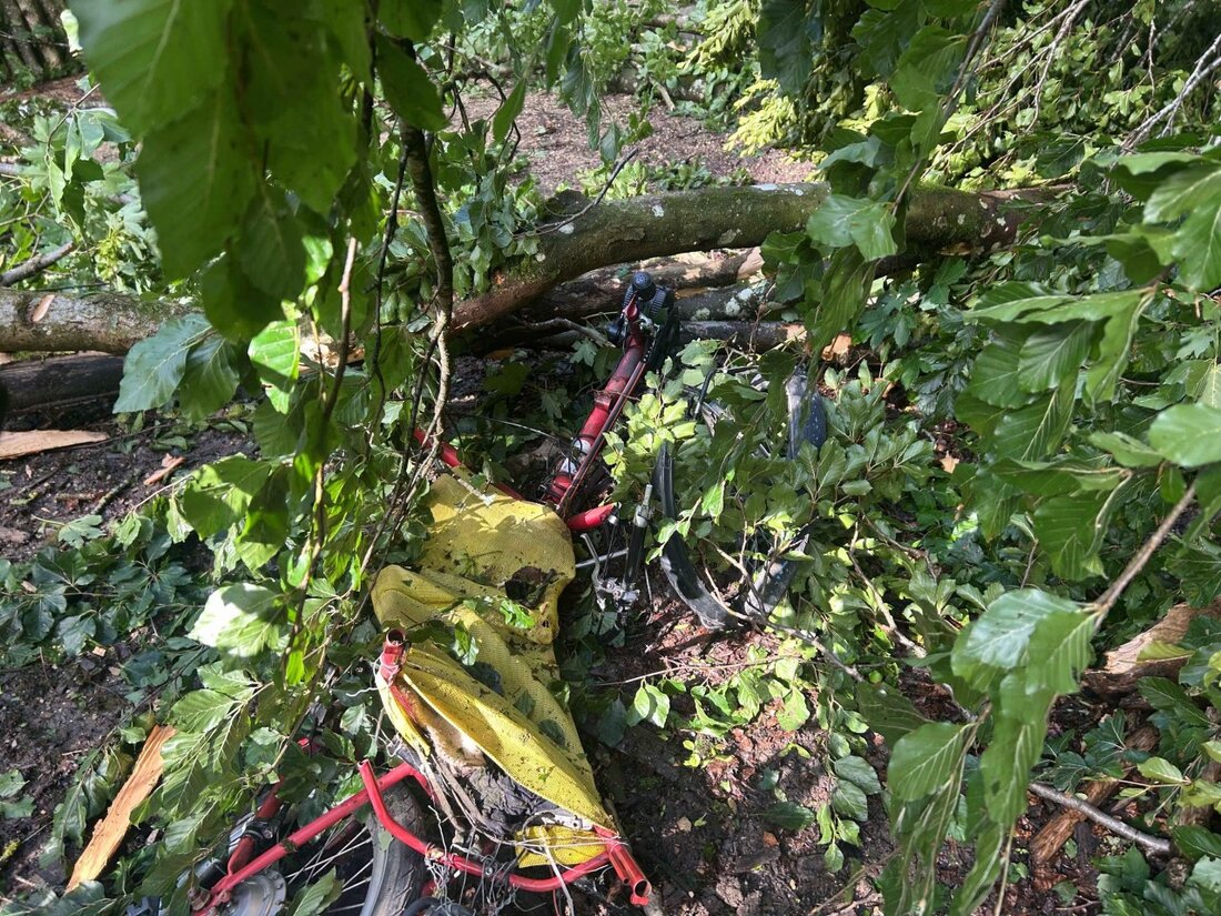 Eine heftige Gewitterfront verursachte am Sonntag im Kanton Aargau zahlreiche Schäden, darunter umgestürzte Bäume und Verletzte.