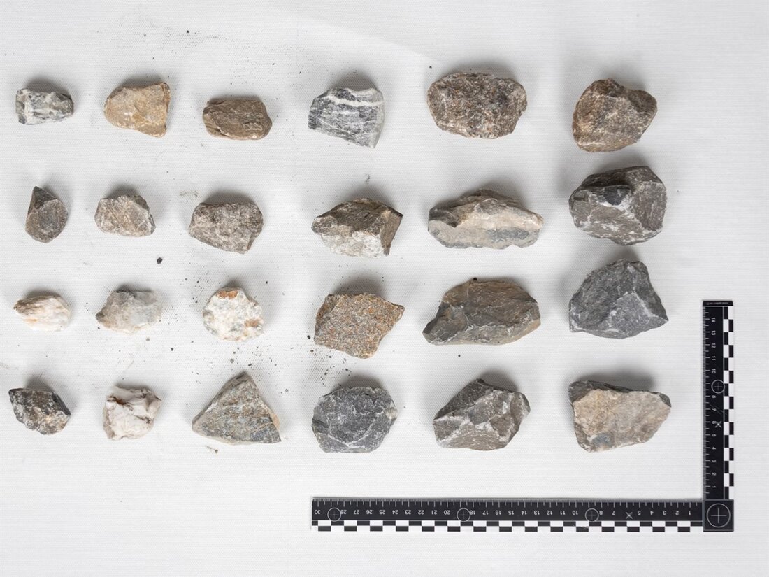 In Trimmis wurden fünf Autos auf der A13 durch Steine beschädigt. Die Täter, vier Männer, wurden ermittelt und angezeigt.