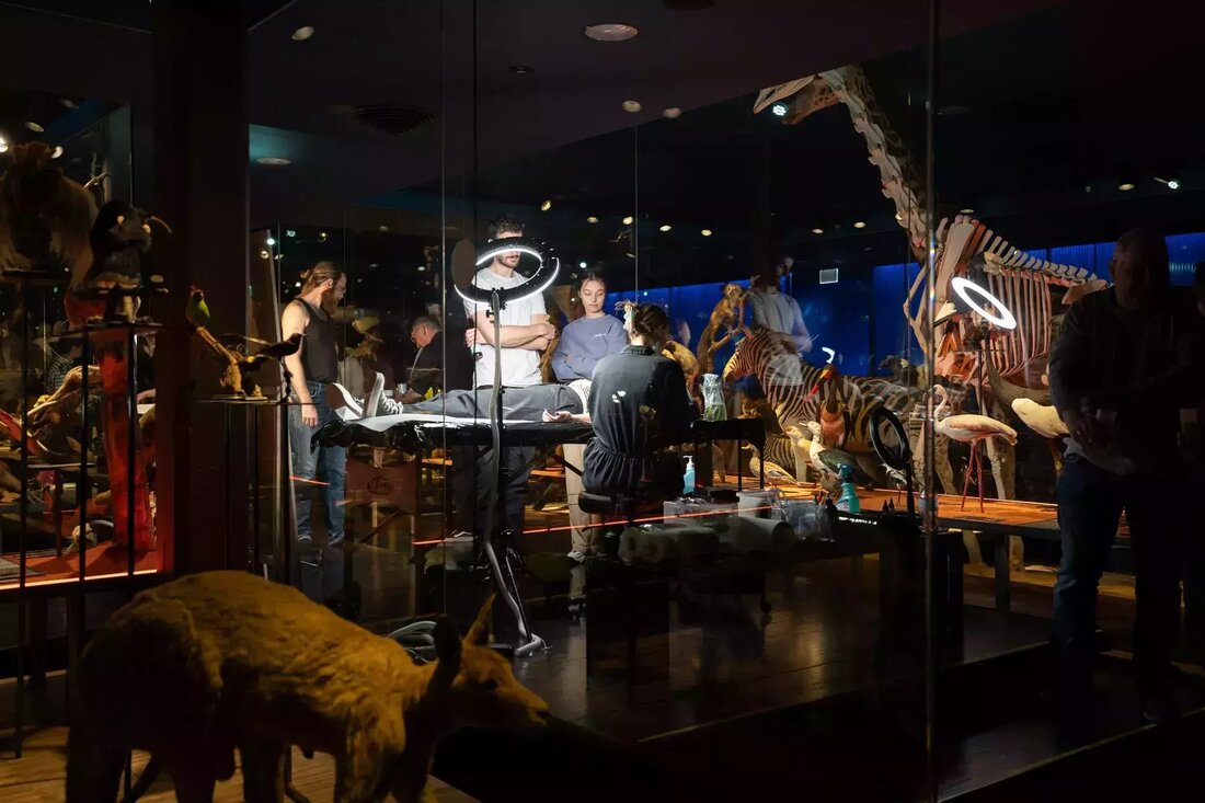 Über 60.000 Besucher feierten 2024 ein erfolgreiches Jubiläumsjahr im Naturhistorischen Museum Freiburg mit einzigartigen Veranstaltungen.