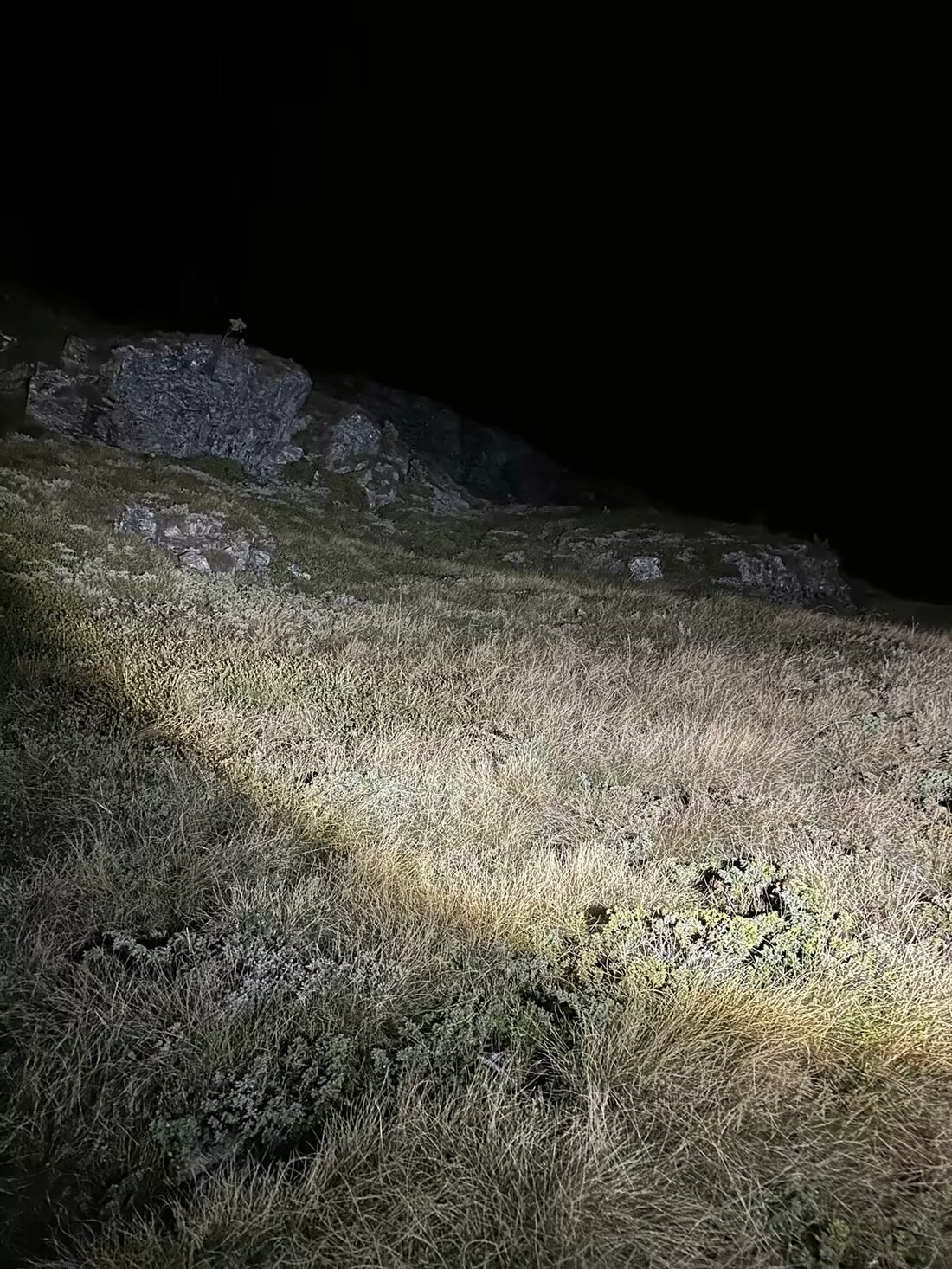 Nach einer groß angelegten Suchaktion wurde die vermisste 57-jährige Wanderin in Sils i.E. tot aufgefunden. Ermittlungen laufen.