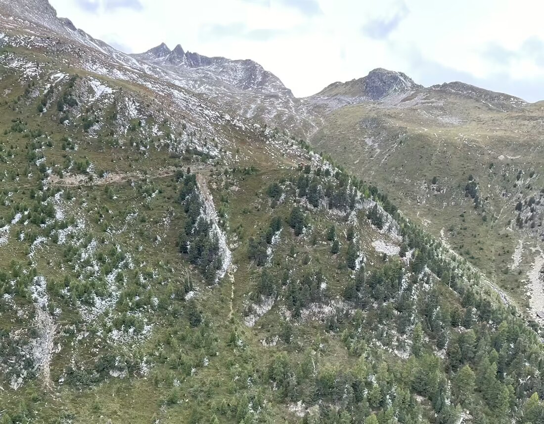 In Zernez wurde ein vermisster Jäger (33) leblos aufgefunden. Die Kantonspolizei Graubünden untersucht den Todesfall.