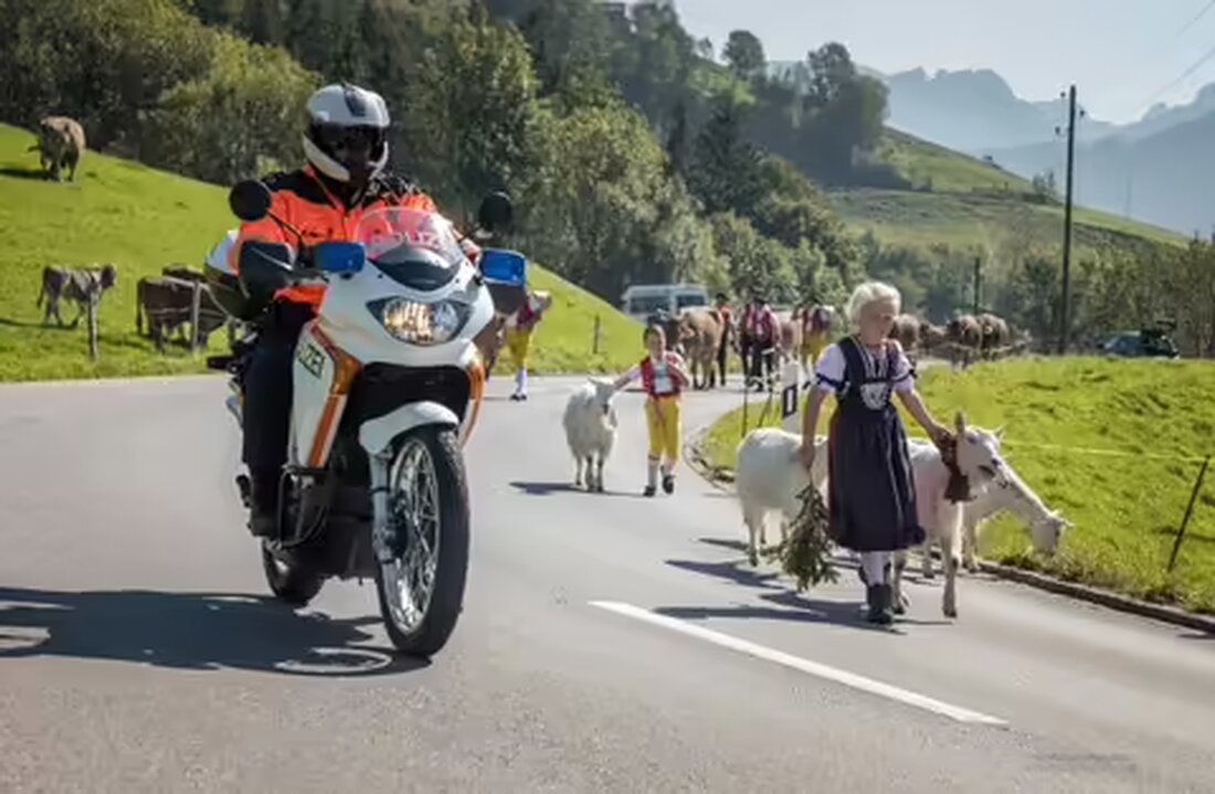 Am 3. Oktober 2023 findet in Appenzell die Grossviehschau statt. Beachten Sie Verkehrsbehinderungen während des Viehauftriebs.