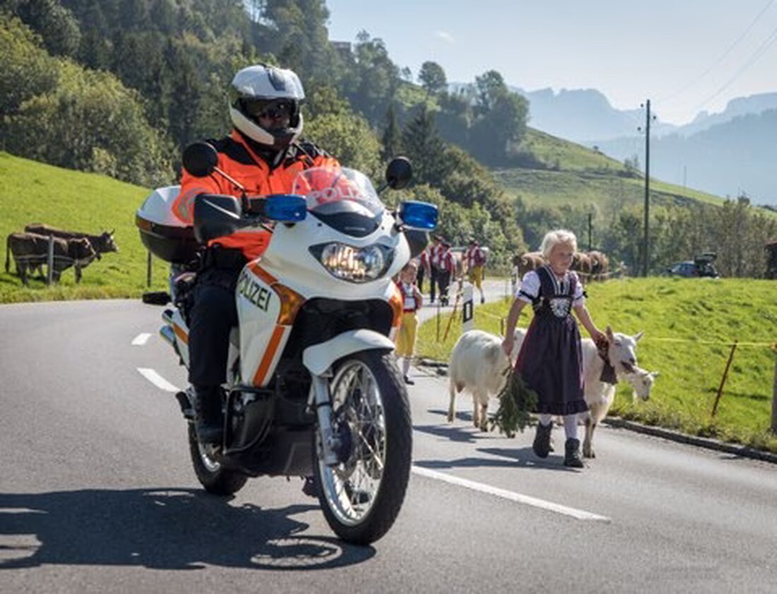 Am 07. Oktober 2025 kommt es in Appenzell während der Grossviehschau zu Verkehrsbehinderungen auf den Hauptstraßen.