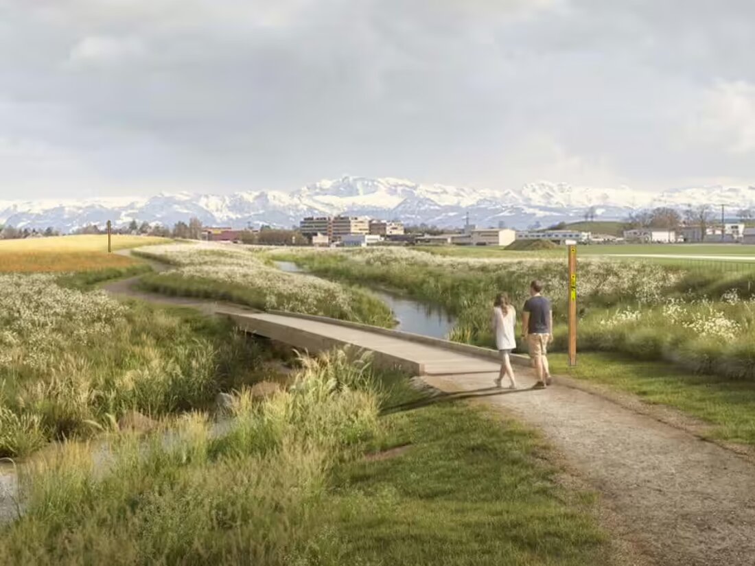 Erfahren Sie, wie der Innovationspark Zürich mit dem neuen Flugfeldpark Naturerlebnisse schafft und die Biodiversität fördert.