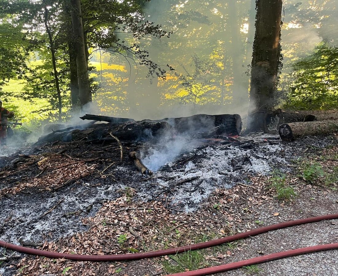 In Oberneunforn brannte am Donnerstagabend ein Waldboden. Feuerwehr löscht, Brandursache bleibt unklar, Schaden noch unbekannt.