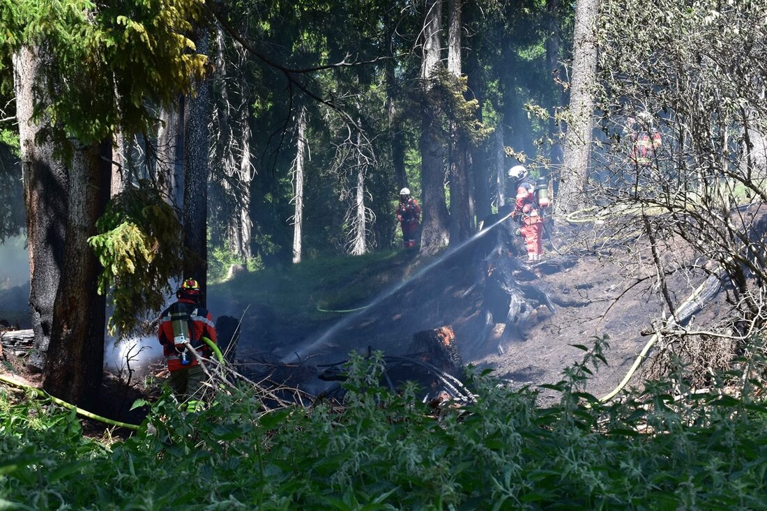 In Lenzerheide brach ein lokaler Waldbrand aus. Die Feuerwehr konnte Schlimmeres verhindern. Zeugenaufruf zur Brandursache.