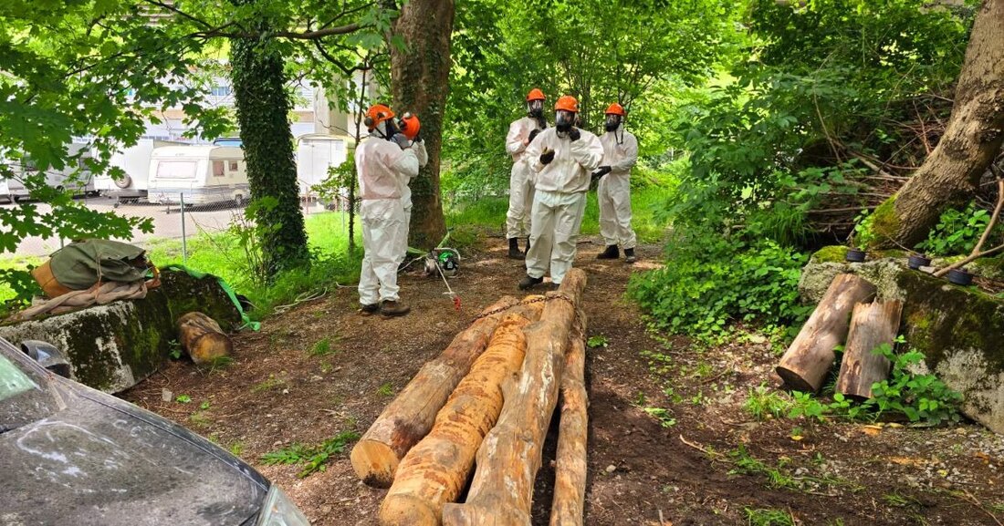 Der Wiederholungskurs der Pionierkompanie 1 fand vom 2. bis 6. Juni 2025 in Schwyz statt und fokussierte auf wichtige Ausbildungsinhalte.