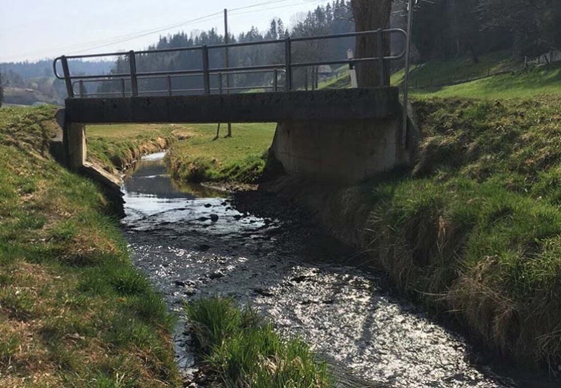 Die Wasserqualität der Sense, Taverna und Galternbach wird in aktuellen Berichten von 2022 bewertet und analysiert.