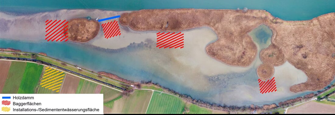 Ab Juli 2025 werden Maßnahmen zur Bekämpfung der Verlandung am Klingnauer Stausee umgesetzt, um das wertvolle Naturschutzgebiet zu erhalten.
