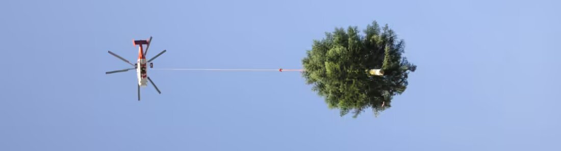 Die 17 Meter hohe Weihnachtstanne wird am 15. November per Helikopter auf den Klosterplatz geflogen und erleuchtet am 1. Dezember.