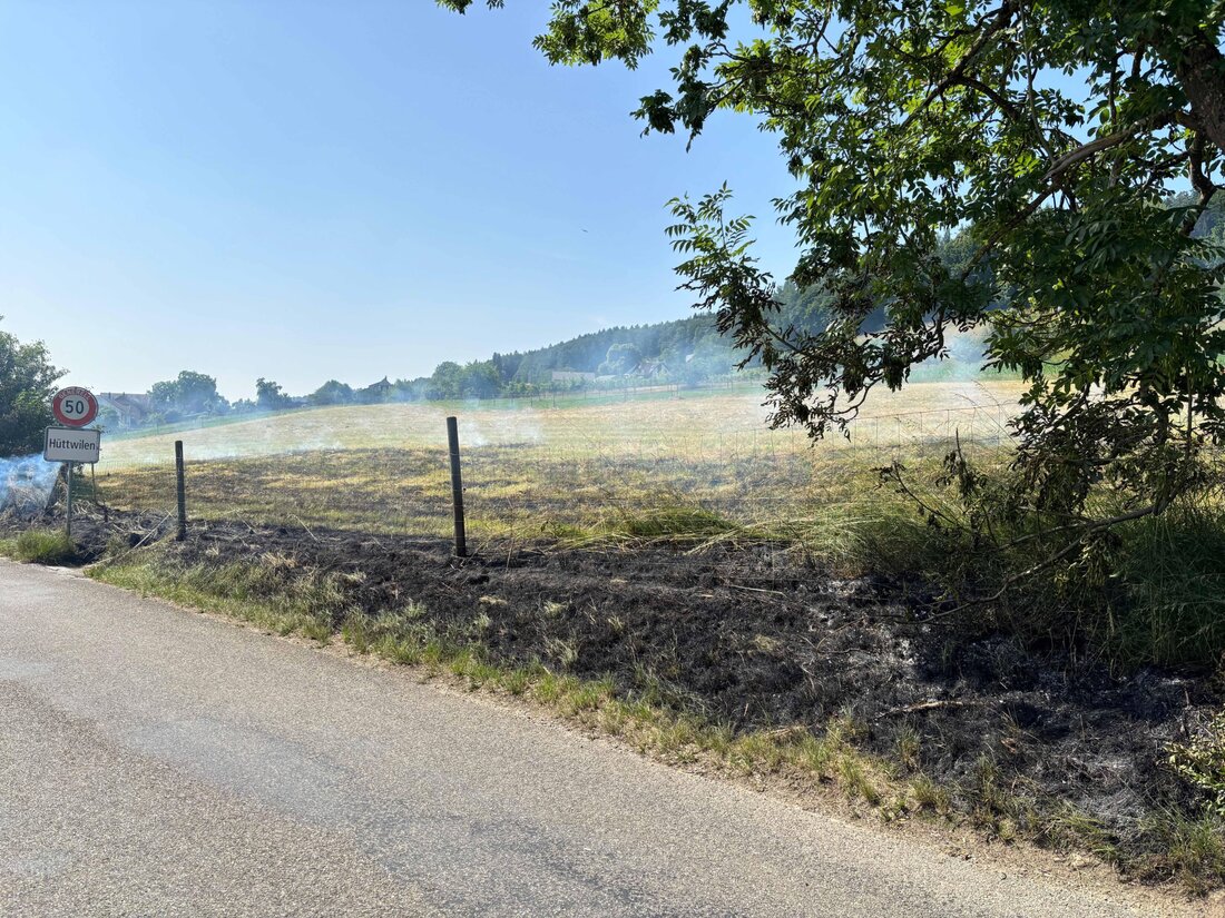 In Hüttwilen kam es am Freitag zu einem Wiesenbrand. Die Feuerwehr löschte schnell; Verletzte gab es keine. Ursachen unklar.